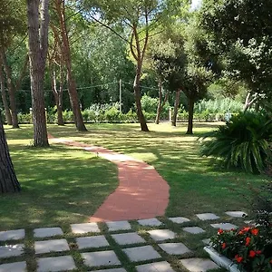 Alcione Marina di Massa